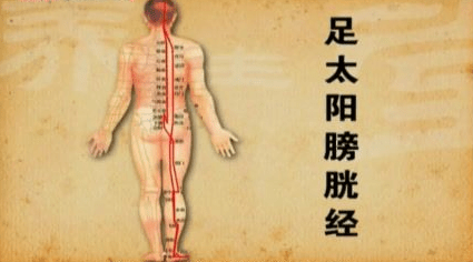 十二经络【足太阳膀胱经】经络穴位动态图讲解