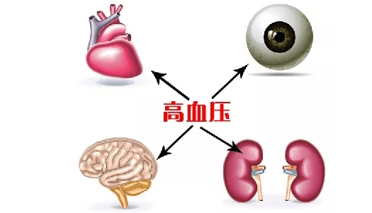 艾灸调理高血压