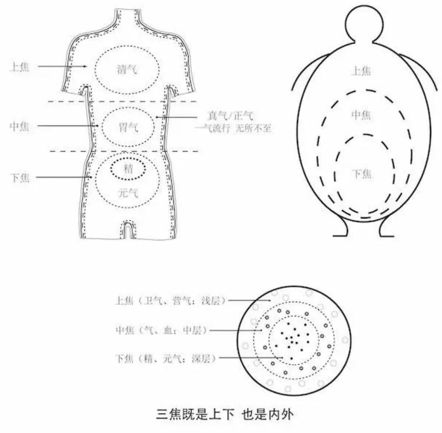 李辛谈中医的三焦