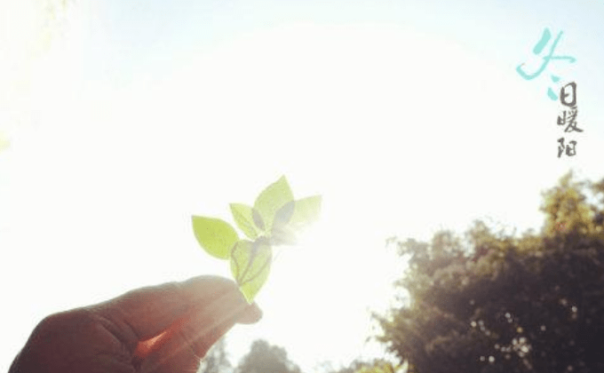 艾草的力量，温通人体阳性经络..