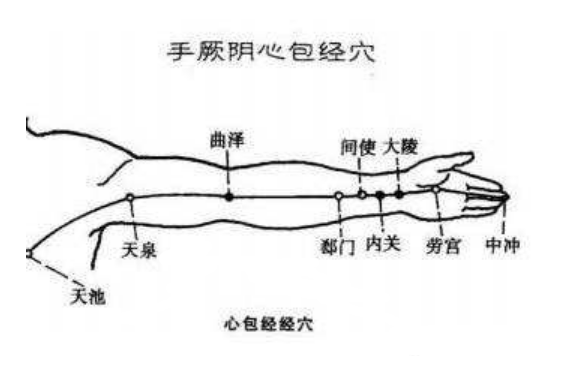 十二经络【手厥阴心包经】经络穴..