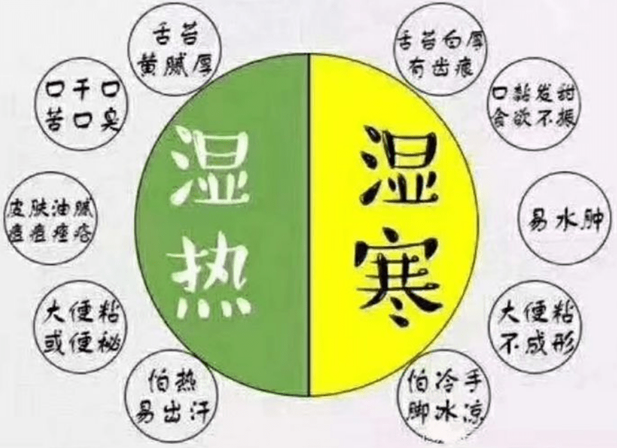 湿寒湿热