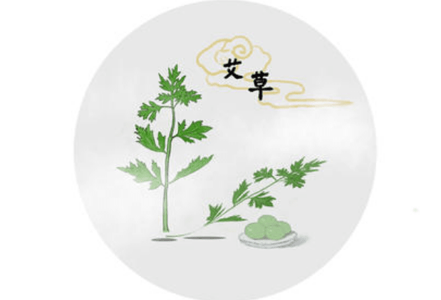 为什么选择艾草作为灸法的材料..