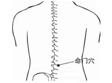 命门穴位置