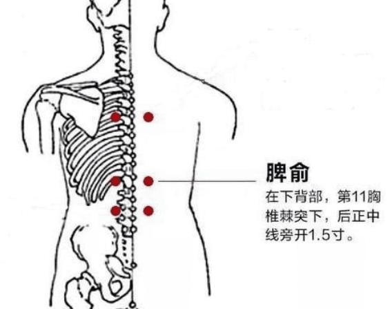 艾灸脾俞穴的作用