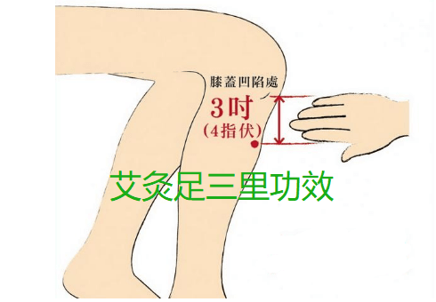 艾灸【足三里】的功效与作用..