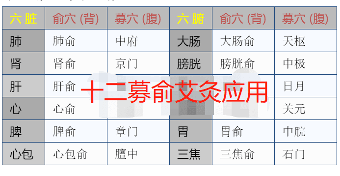 十二俞穴与十二募穴艾灸应用..