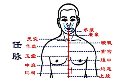 八脉：任脉的作用，总揽阴经脉气..