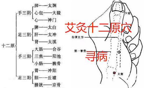 顺着经络找到病：用十二原穴艾灸寻病术