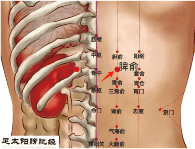 艾灸脾俞穴