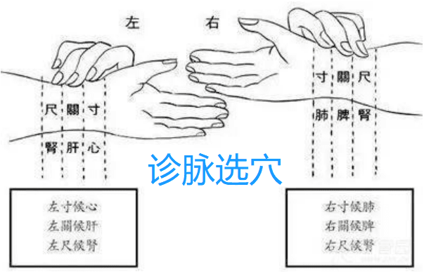 艾灸选穴三个层次：搜索、经验、诊脉辨证选穴