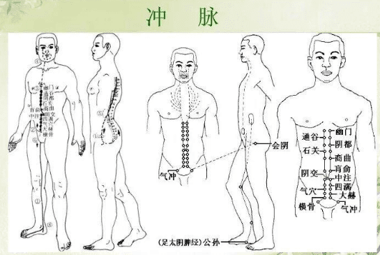 八脉：冲脉的作用，供应一切经脉动力