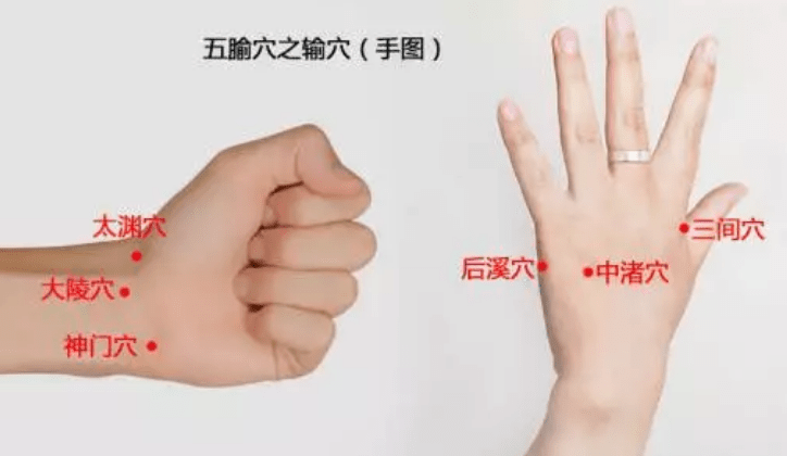 五腧穴:十二经脉【输穴】作用介..
