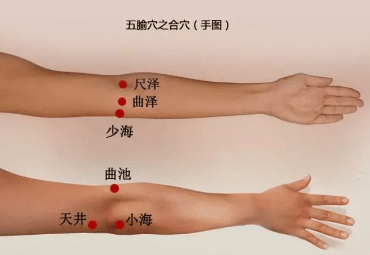 五腧穴:十二经脉【合穴】作用介..