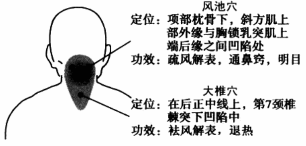 热敏灸治疗【感冒】的操作方法