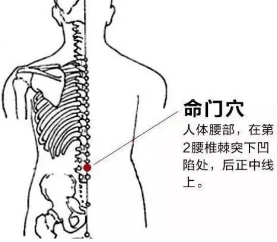 艾灸养生：命门穴