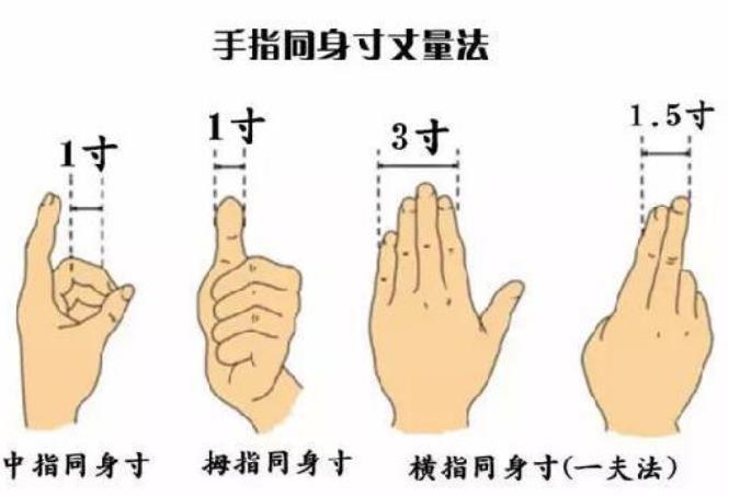 取穴时“一寸”是多长?“同身寸..