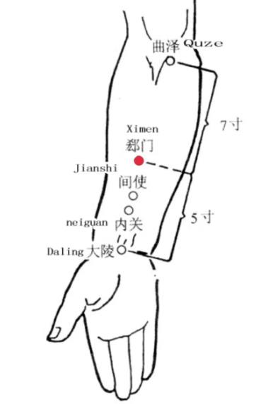 郄穴：郄门穴.jpg