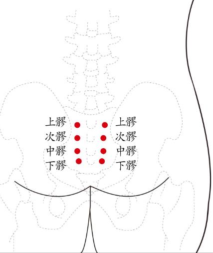 八髎穴取穴