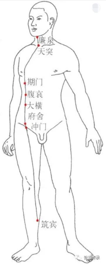 阴维脉为奇经八脉之一