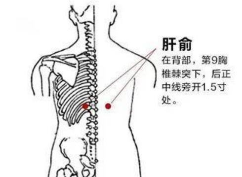 艾灸【肝俞穴】的作用