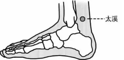 人体身上十二原穴太溪