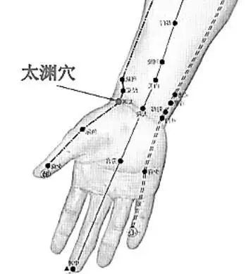 人体身上十二原穴太渊