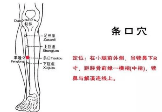 艾灸肩周炎穴位:条口穴