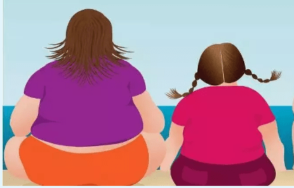 为什么会肥胖，减肥的方法思路