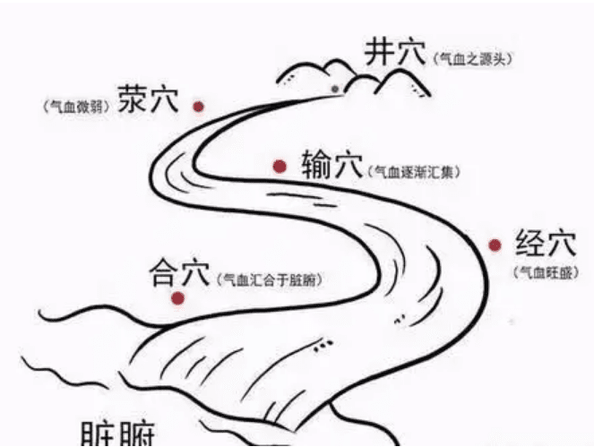 什么是五腧穴？十二经脉的五腧穴..