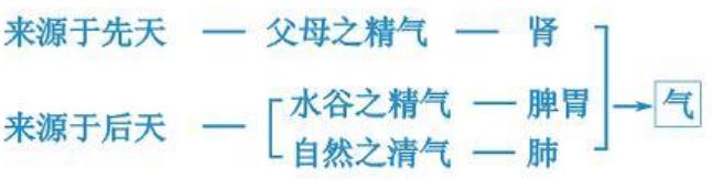 先天肾气，后天水谷自然气